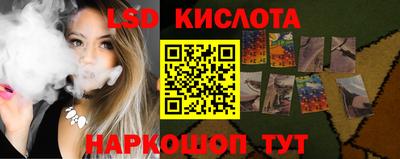 шишки Обь