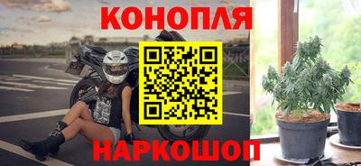 Альфа ПВП Обнинск