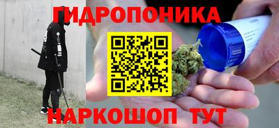 шишки Обь