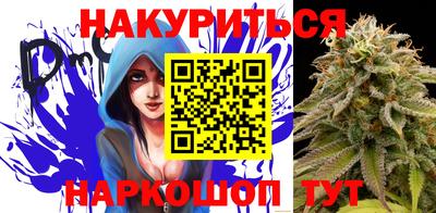 шишки Обь
