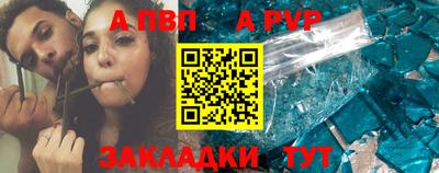 шишки Обь