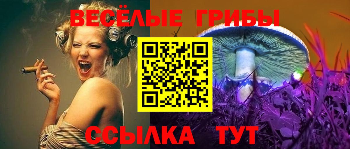 Псилоцибиновые грибы Cubensis Саратов